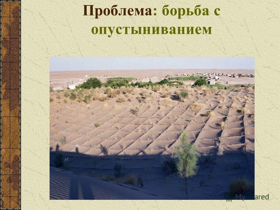 Опустынивание меры борьбы. 17 июня день борьбы с опустыниванием и засухой. Всемирный день по борьбе с опустыниванием и засухой. Засуха. Опустынивание меры борьбы.