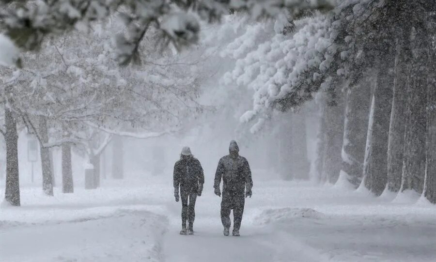 The world is cold. Картинки зима Underground. Winter weather. Много белых Вест зима. Weather in Winter.