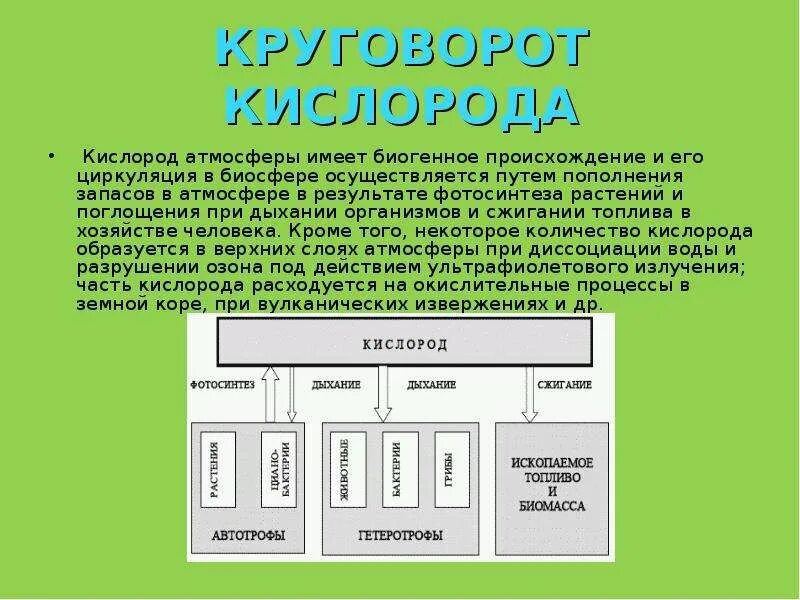 Процесс образования кислорода в атмосфере. Круговорот кислорода в атмосфере. резервный фонд кислорода в биосфере.