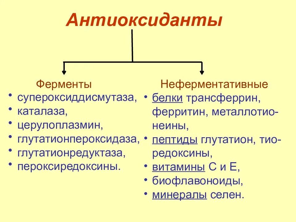 Антиоксидантная защита схема. Антиоксидантная система организма. Действие антиоксидантных ферментов. Действие антиоксидантных ферментов. Гемоксигеназа кофермент.