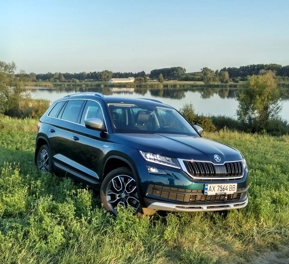 Skoda Kodiaq 2018. Шкода Кодиак 2020. Skoda Kodiaq 2017. Кот Шкода. Куплю шкода кодиак б у