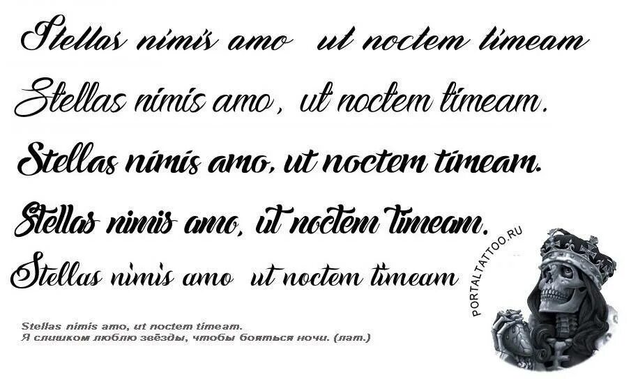 Фразы про тату. Тату на латыни с переводом. Фразы на латыни для татуировок. Татуировки надписи с переводом. Латинские надписи для татуировок с переводом для девушек.