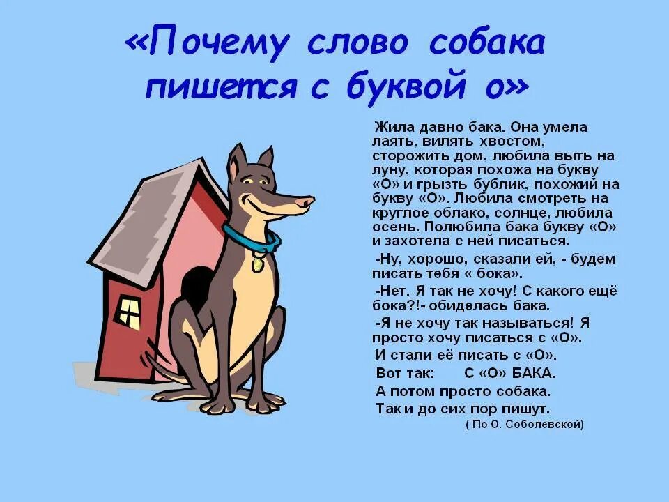 Почему собака мочится. Текст про собаку. Той собака. Написания собак. Работа со словарным словом собака.