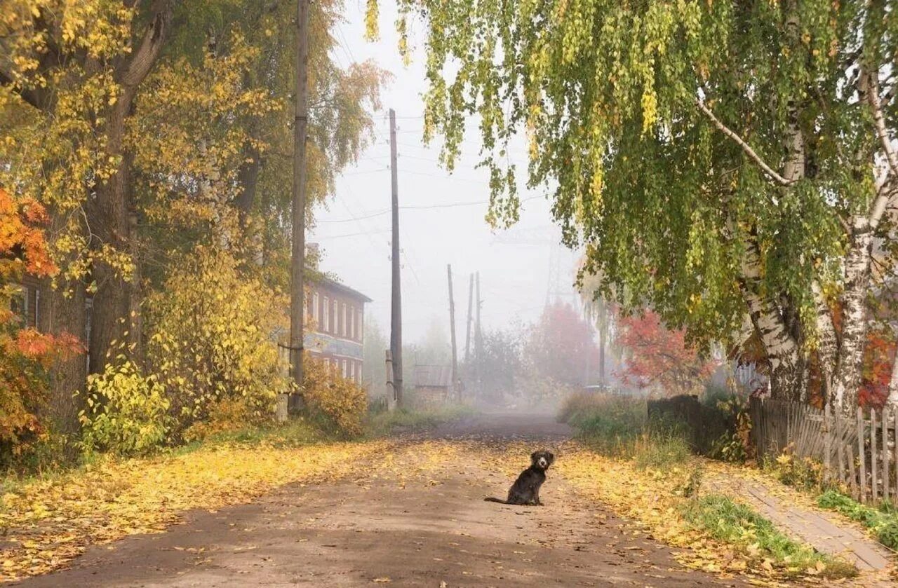 Дождь осенью. Осень в деревне. Унылая осень. Осень вдоль дороги. Золотая осень.