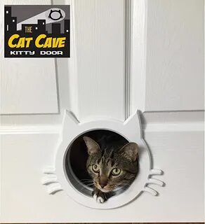 Kitty door