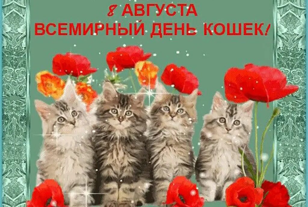 Беседа день кошек. Всемирный день кошек. Поздравление с международным днем кошек. 8августв Всемирный день кошек. День кошек открытки.