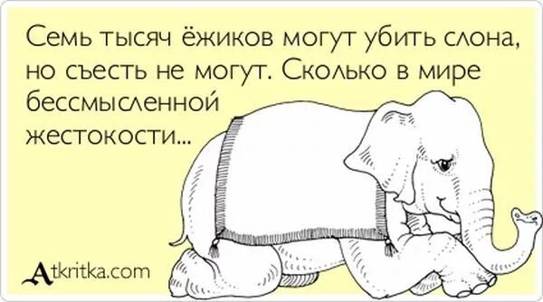 Прикольные фразы про слона. Шутка про слона. Анекдот про слона. Шутки про слонов. Семи тысячами или семью тысячами