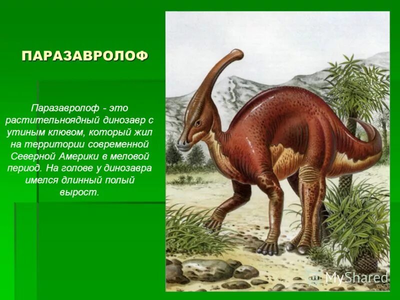 Древние пресмыкающиеся сообщение. Травоядный динозавр паразауролоф. динозавры мезозойской эры. паразауролоф доисторический парк. древние вымершие динозавры.