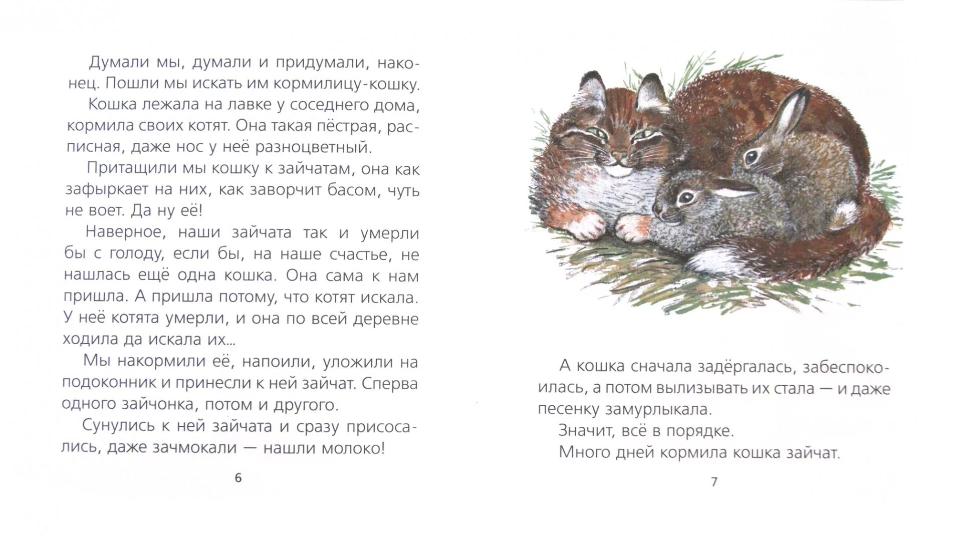 Рассказ про зайчат Чарушин. Е.Чарушин про зайчат рассказ. Рассказ про зайчонка