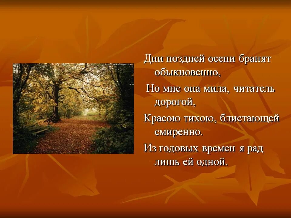 Стихи Пушкина про осень. Пушкин стихи про осень. Стихотворение Пушкина про осень. Пушкин осень стихотворение. Пушкин осень дни поздней осени бранят