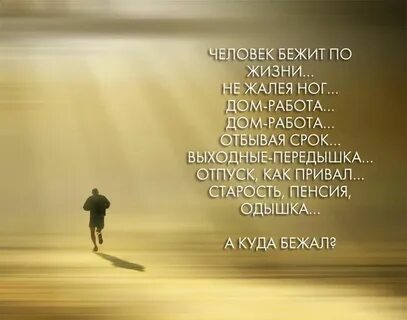 Жизнь суета слова