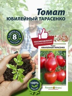 Томат юбилейный тарасенко