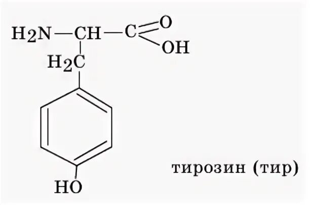 Тир формула. Тир аминокислота формула. Фен аминокислота формула. Фен-цис-тир. Химия. Аминокислоты тир фен.