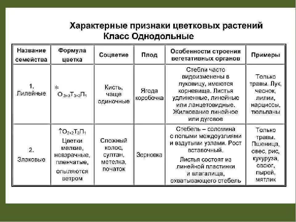 Характерные признаки представителей группы. Признаки семейств однодольных растений таблица. Семейство покрытосеменных растений таблица 7 класс. Характерные признаки семейств цветковых растений класс Однодольные. Характеристика семейств класса однодольных растений.