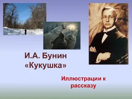 Бунин кукушка