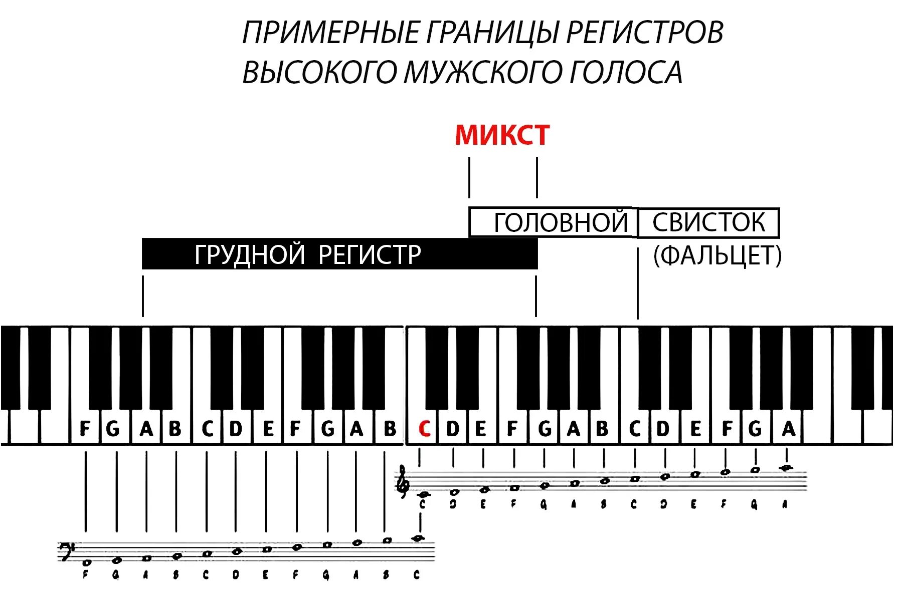 Совместное звучание певческих голосов. Бас баритон тенор диапазон. Диапазон баритона и переходные Ноты. Вокальные регистры. Регистры в пении.