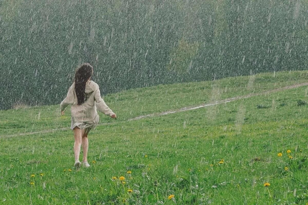Я уже предвкушал как ливень хлынет. Летний дождь. Лето дождь. Теплый летний дождь. Ливень летом.