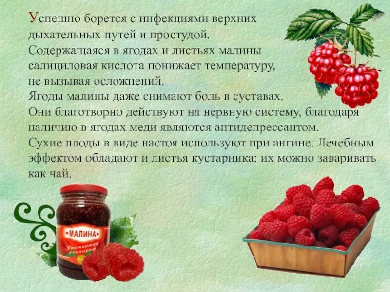 Природный антибиотик ягода. Кислоты в ягодах. Лекарственное средство малина. Витамины в ягодах малины. При какой температуре можно малину