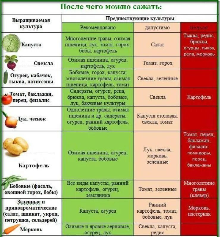 Что можно посадить на место