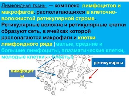 Образуется сеть