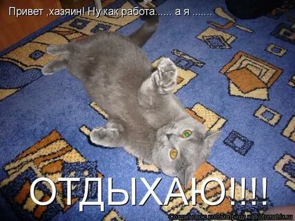 Привет работаешь