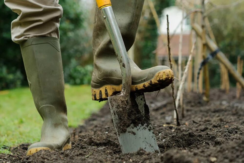 Нужно ли перекапывать землю. Перекопка почвы. Копка огорода. Вскапывание почвы. Лопата для копки.