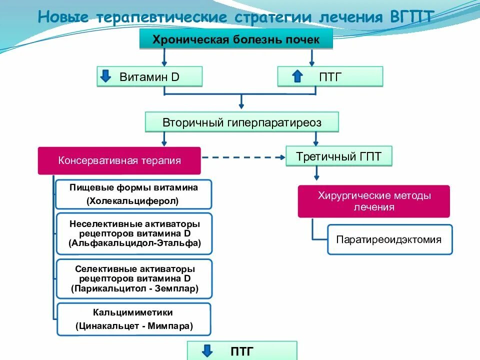 Вторичный гиперпаратиреоз схема. Вторичный гиперпаратиреоз патогенез схема. Вторичный гиперпаратиреоз алгоритм лечения. Гиперпаратиреоз патогенез симптомов.