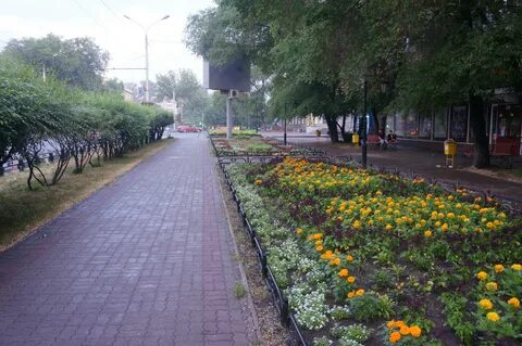Улица чистый город