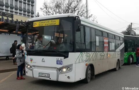 225 автобус спб
