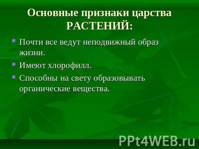 Признаки царства 5 класс биология. Признаки царства растений. Основные признаки растений. Важнейший признак царства растений. Признаки царства растений 5.