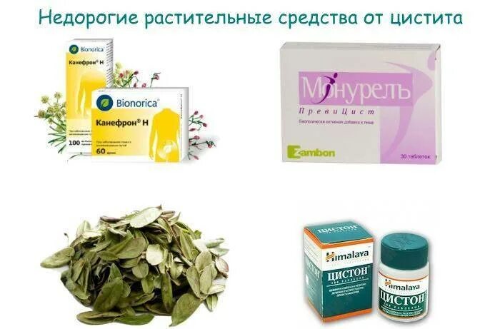 Цистит лекарство. Растительное средство от цистита. растительное лекарство от цистита. растительные таблетки от цистита. цистит у женщин лекарства.