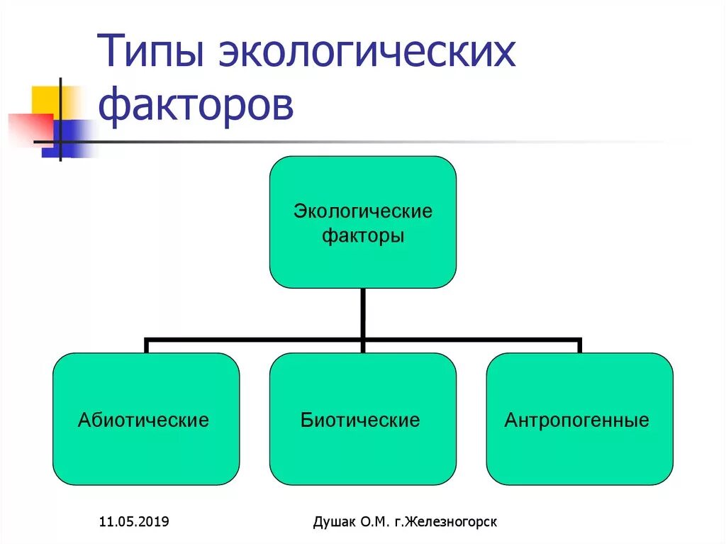 Виды экологических факторов. Экологические факторы схема. Типы экологических факторов. Схема факторы окружающей среды.