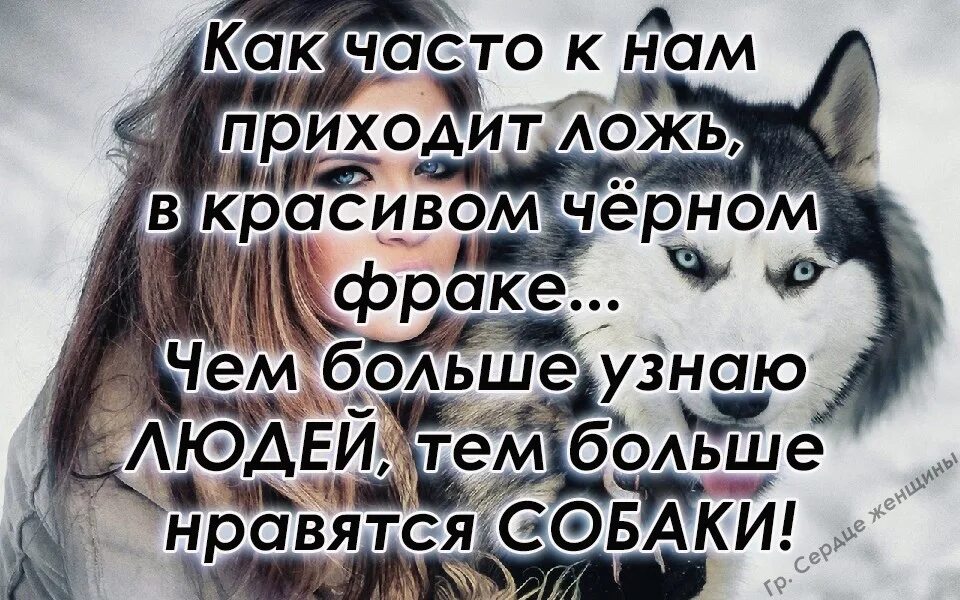 Более чем понравилось. Чем больше узнаю людей тем больше мне нравятся собаки. Чем больше познаю людей тем больше нравятся собаки. Чем больше узнаю людей тем больше люблю собак. Чем больше я узнаю людей тем больше люблю животных.