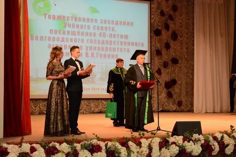 Система электронной поддержки белгау