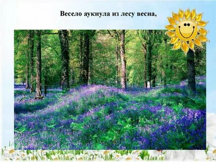 Путешествие в весенний лес