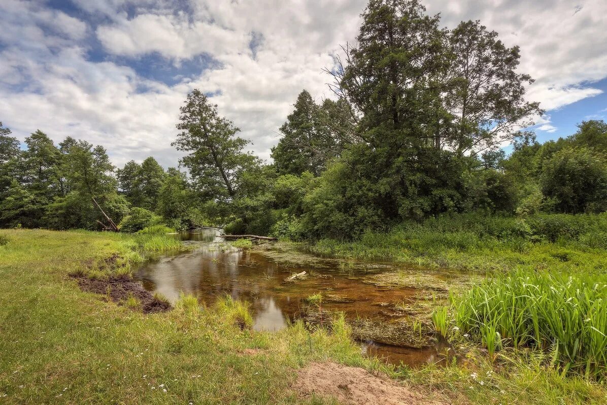 заводь что это. речные заводи. речные заводи. ленинградская область пруд тихая заводь. аргази тихая заводь.