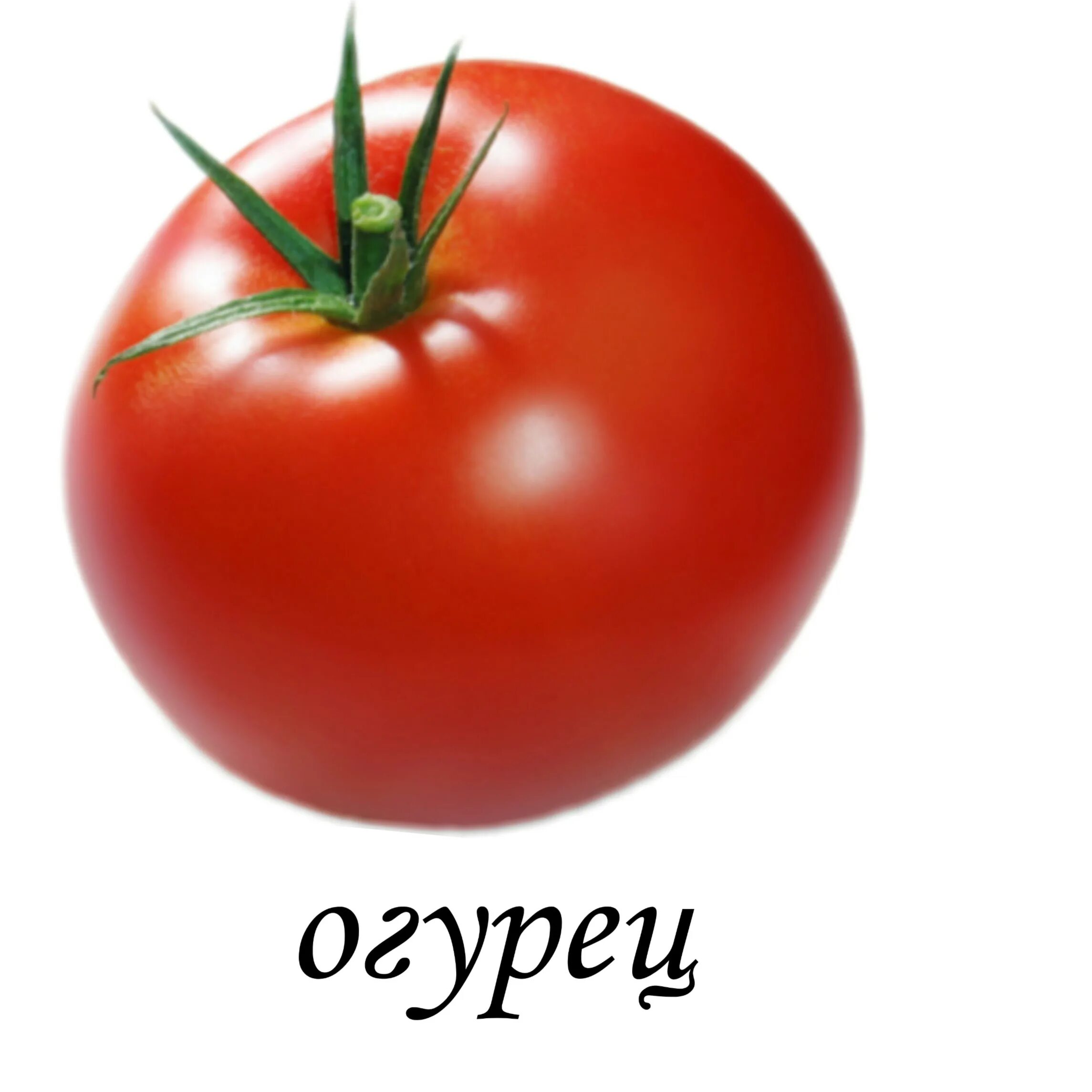 Томаты сорт куртизанка