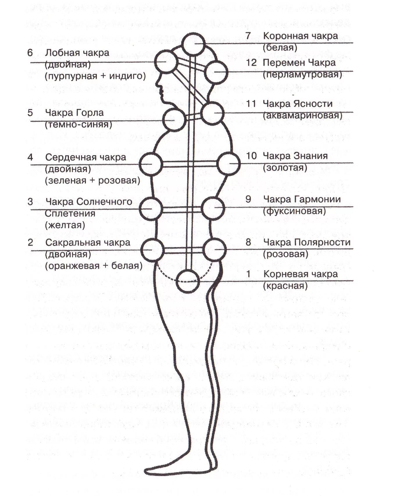 12 Чакровая система человека схема. Чакральная система 12 чакр. Чакральная система человека дополнительные чакры. Чакры названия и расположение