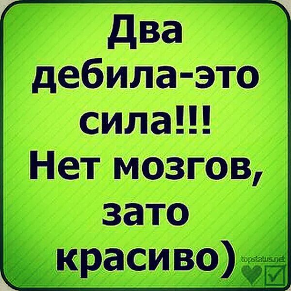 Два дебила это сила. Статусы в ВК. Классные статусы для девочек. Два дебила это сила нет мозгов. Что можно статус вк