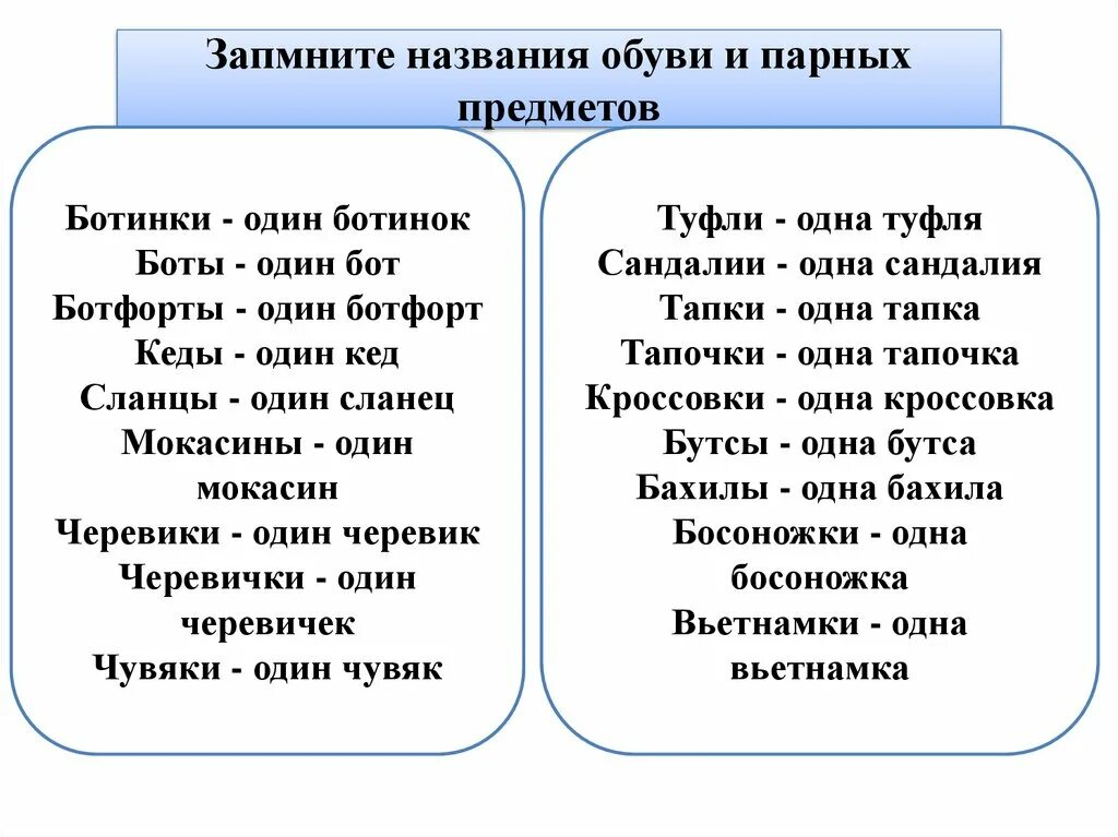 Род киви в русском. Киви род существительного. Названия парных предметов. Тапочки род существительного. Парный род существительных.