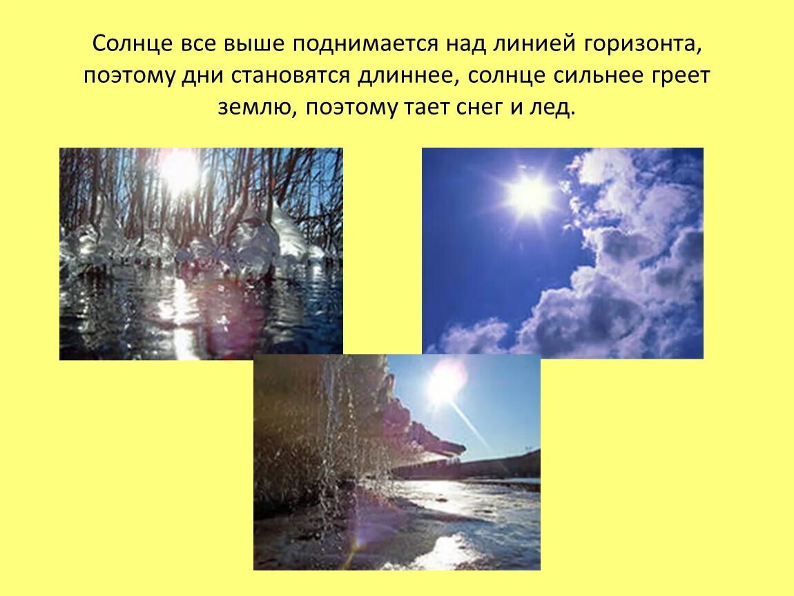 Солнце поднимается. Сезонные изменения в природе и солнце. Солнце поднимается выше. Сезонные изменения в природе и жизнедеятельности организмов. Солнце греет сильнее