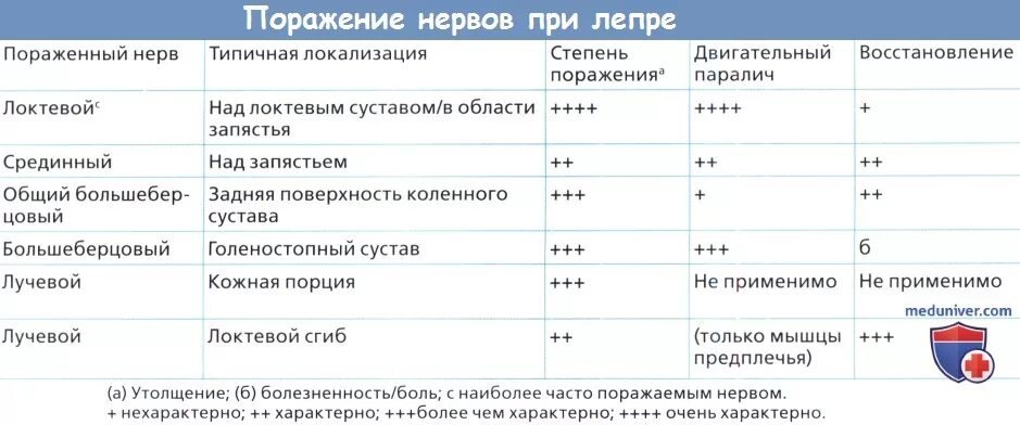 Лепра дифференциальная диагностика. Дифф диагностика лепры. Дифференциальный диагноз типов лепры. Поражение нерва лепрой. Типы поражения нервов