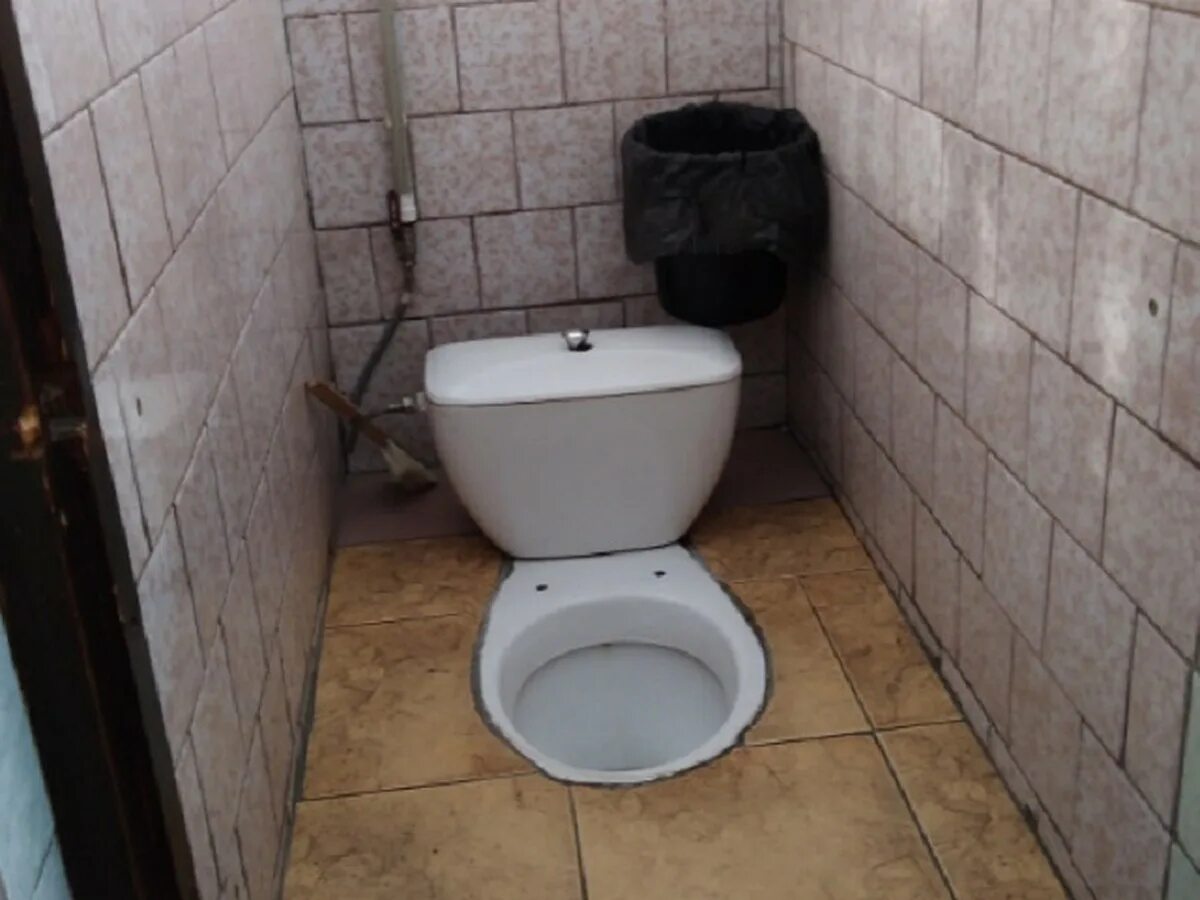 Покажи фотографию туалета. Доместос конкурс школьный туалет. Туалет в школе. Сортир в школе. Школьный туалет в России.