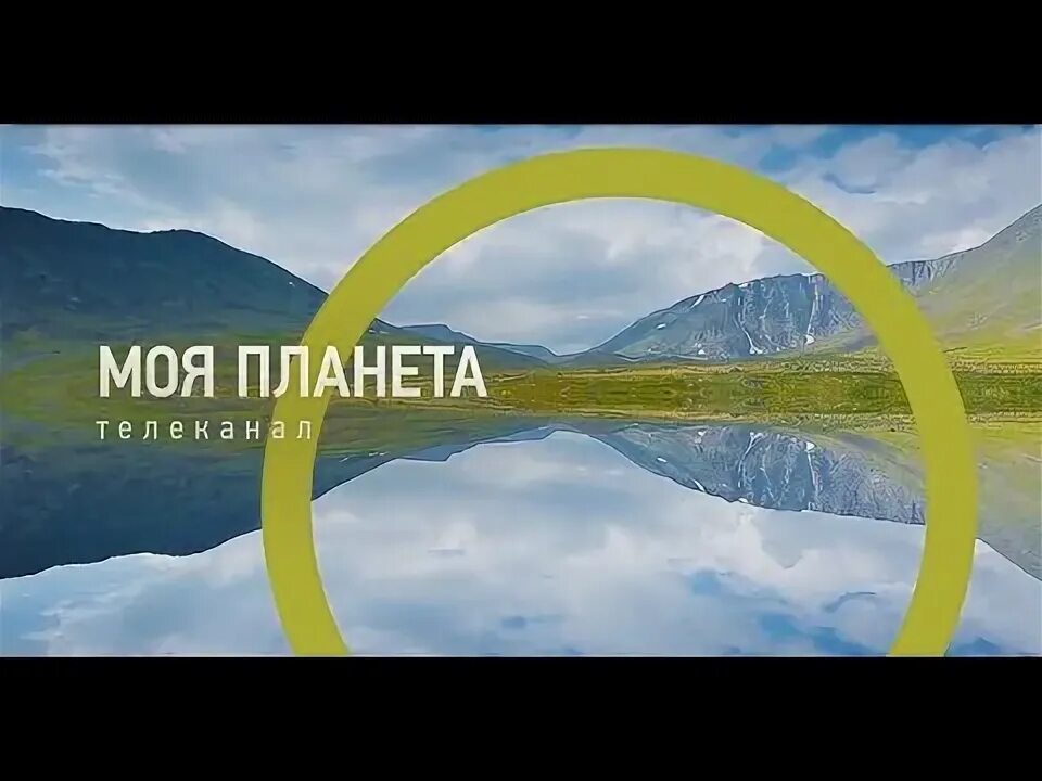 Эмблема телеканала моя планета. Моя планета лого. Моя планета логотип. Моя планета. Моя планета 2024.