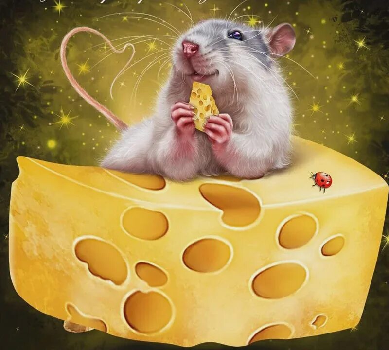 День крысы картинки прикольные. Мышка в сыре. Мышка с сыром. Мышонок на сыре. Мышь с куском сыра.