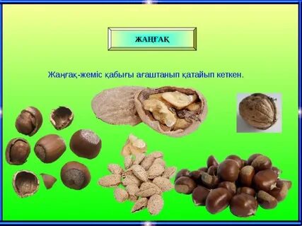 Анамен бірінші адамнан жыныстық қатынас