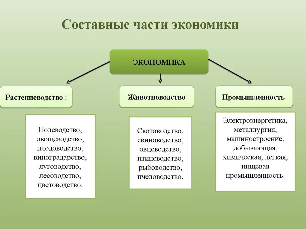 Составляющие картинка. Составные части экономики. Перечисли составные части экономики. Как связаны между собой части экономики. Перечислите основные части экономики.