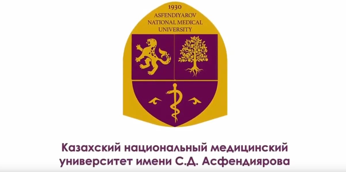 My university s name