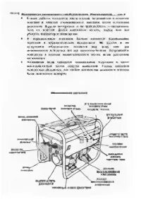 Инструкция по эксплуатации sturm. Инструкция по запуску генератора. руководство по эксплуатации бензогенератора pg8709. дизельный генератор бензиновый инструкция по эксплуатации. инструкция бензогенератора кронверк по эксплуатации.