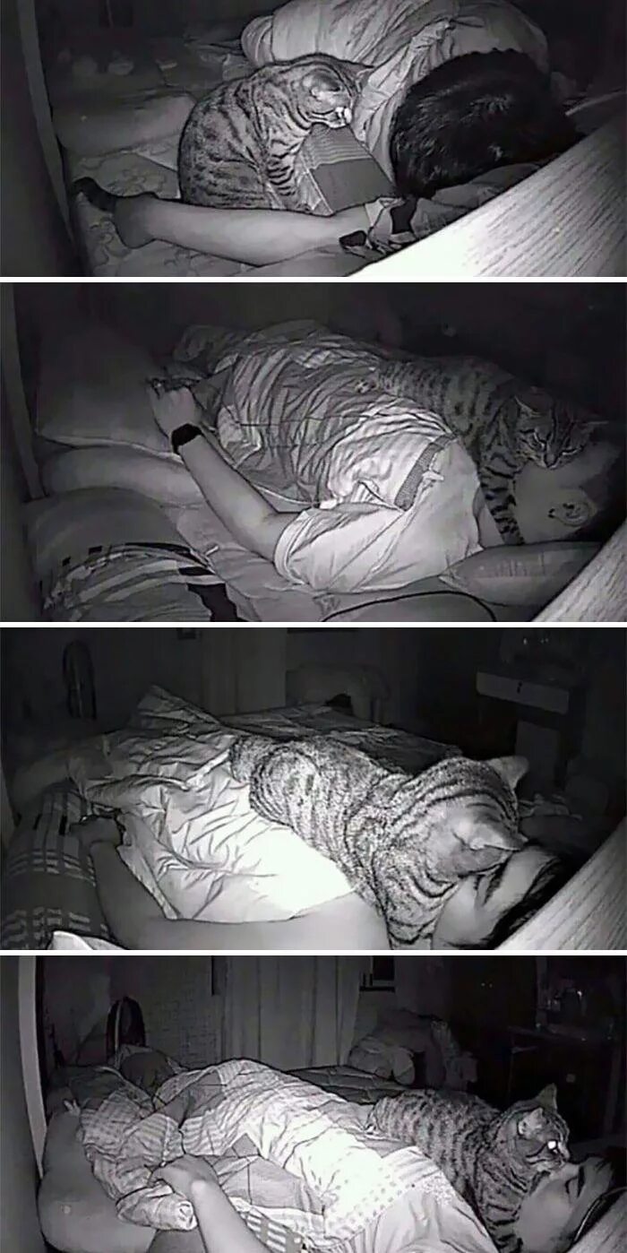 Уложила спать видео. Спать сон. Необычные позы для сна.